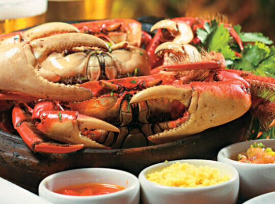 Medium 05ba86171c7f04bb6bc547e427f8b3a6