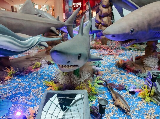 Medium 25b49c4b27cfa42fe5d30eee487093ae