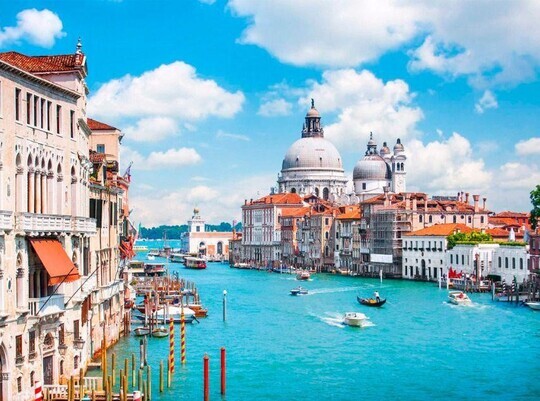 Medium b600ee7ff19d356bb807347d39da9a5e