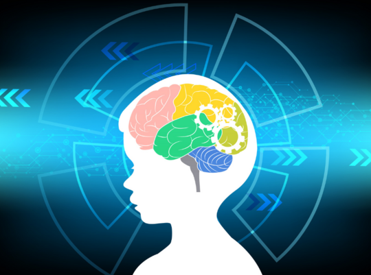 Medium 2310b31442bd732c1430fdf9c81230d4