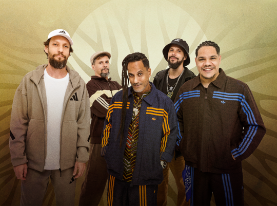 Medium d8fa7fff5a26dfd795c729dc595a9543