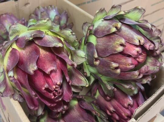 Medium d03155412af312db8b0ff93cf517dc97